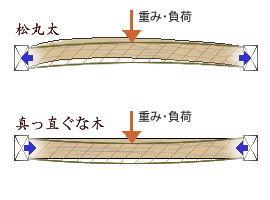 松丸太と真っ直ぐな木の比較